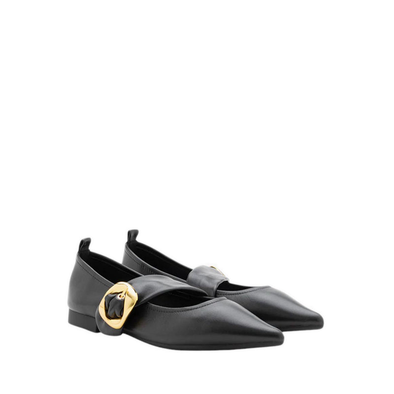 Zinnia Pointed Toe Flats - Black