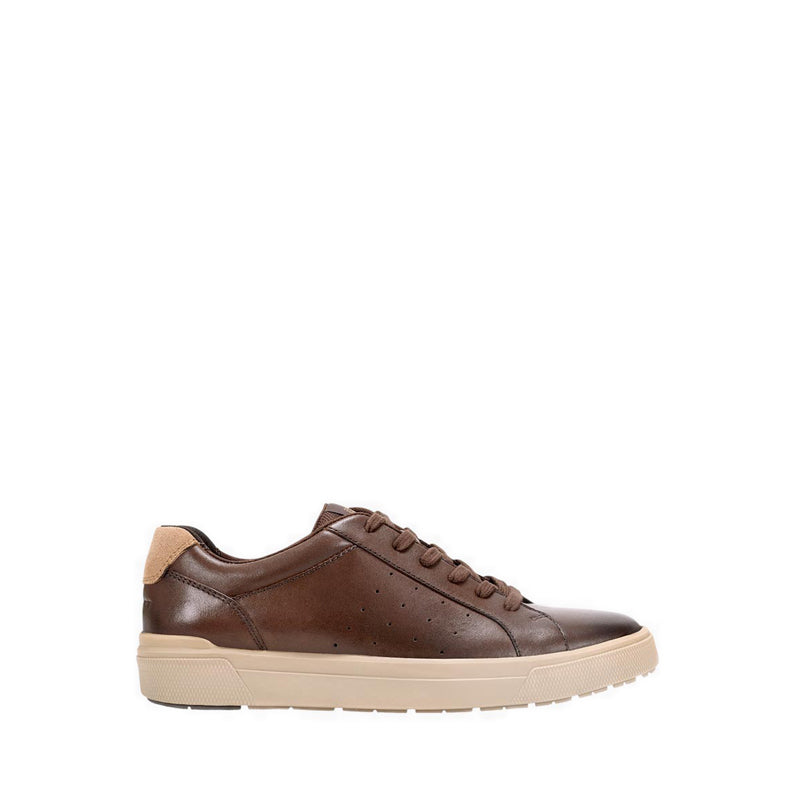 TARQUIN Sneakers - Brown