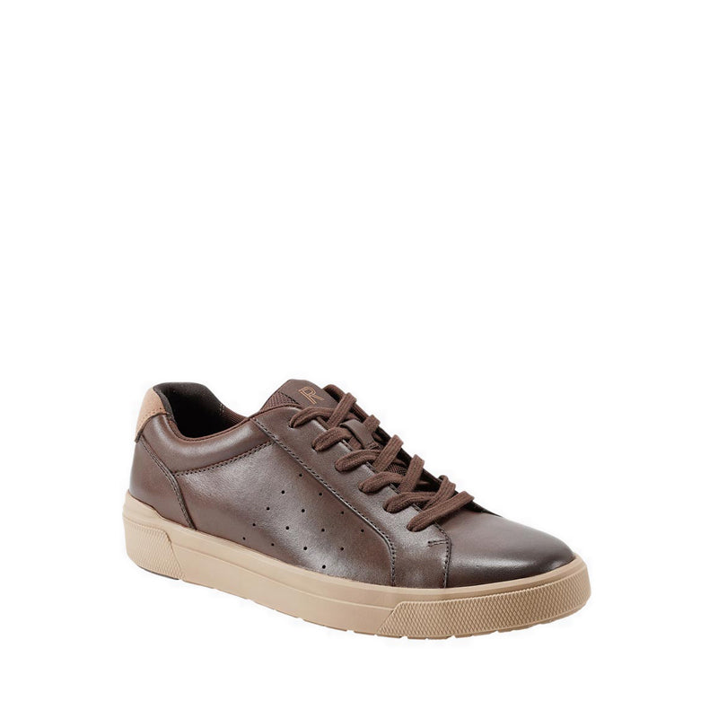 TARQUIN Sneakers - Brown