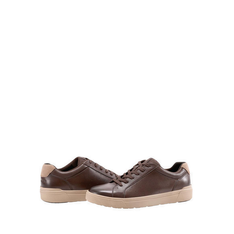 TARQUIN Sneakers - Brown
