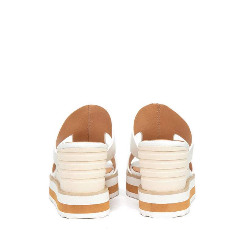 232-2-Wht Wedges - Apricot
